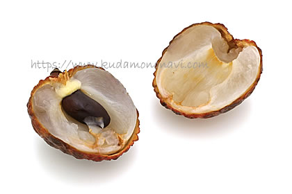 仙進奉（中国産）