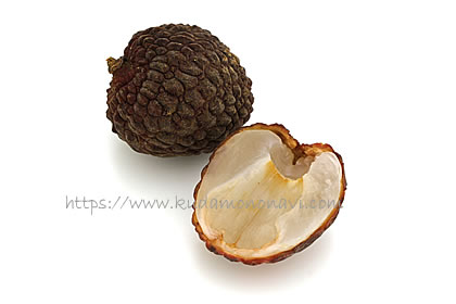 仙進奉（中国産）