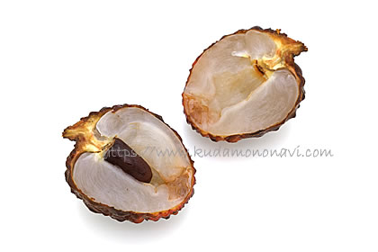 仙進奉（中国産）