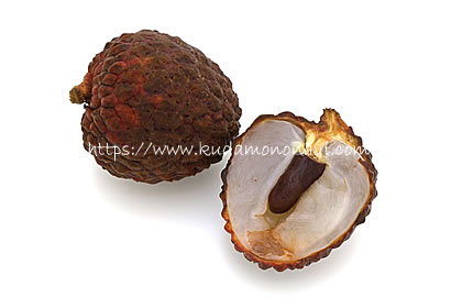 仙進奉（中国産）