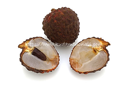 仙進奉（中国産）