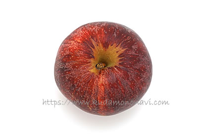 ポピー（ニュージーランド産）