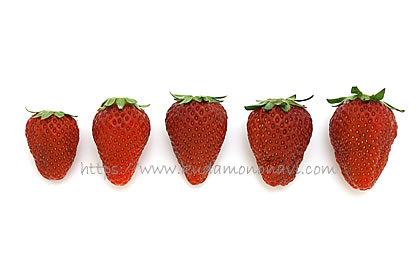 にこにこベリー