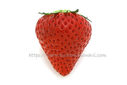 ベリーポップはるひ