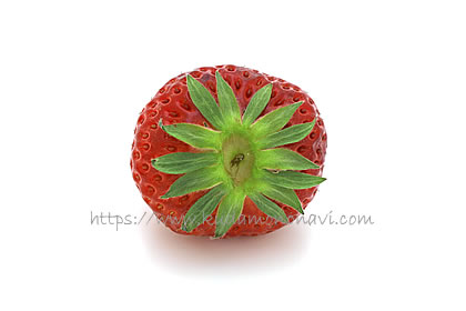 ベリーポップはるひ