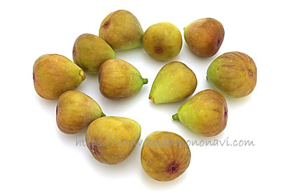 ホワイトイスキア