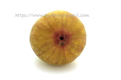 ホワイトイスキア