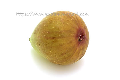 ホワイトイスキア