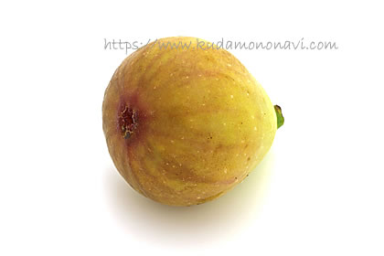 ホワイトイスキア