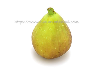 ホワイトイスキア