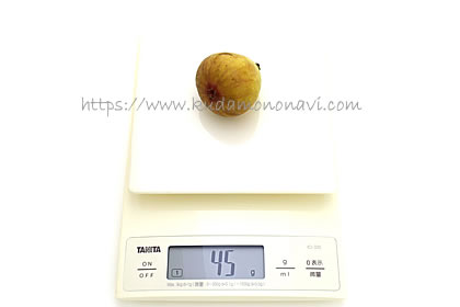 ホワイトイスキア