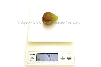 ホワイトイスキア