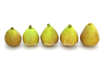 ホワイトイスキア