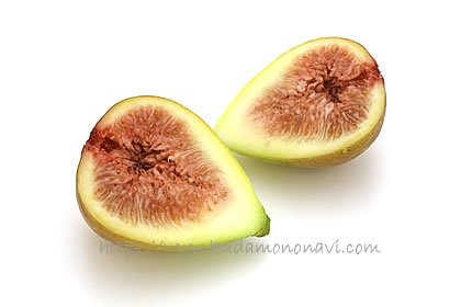 ホワイトイスキア