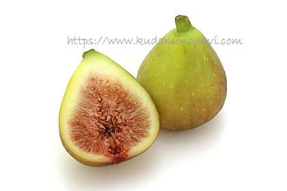 ホワイトイスキア