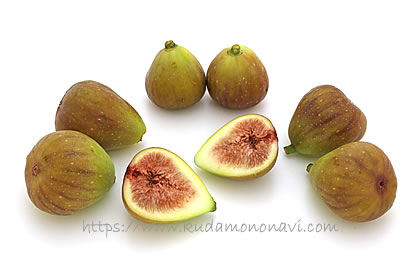 ホワイトイスキア