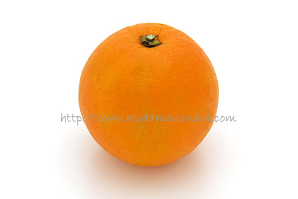 ハムリンオレンジ