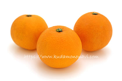 大三島ネーブル