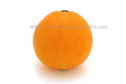 大三島ネーブル