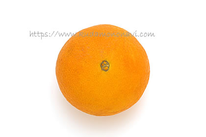 大三島ネーブル