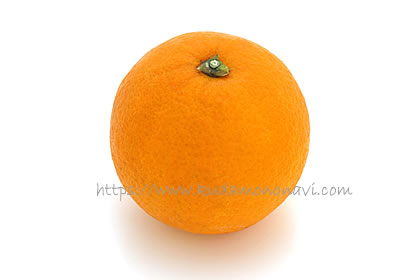 大三島ネーブル