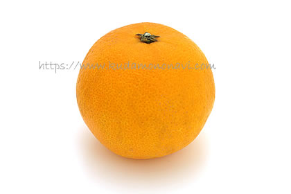 大三島ネーブル