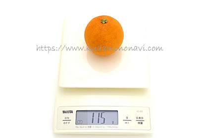 大三島ネーブル