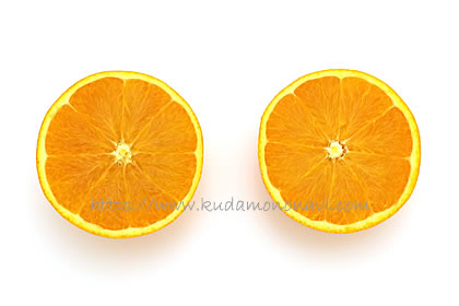 大三島ネーブル