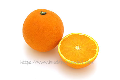 大三島ネーブル