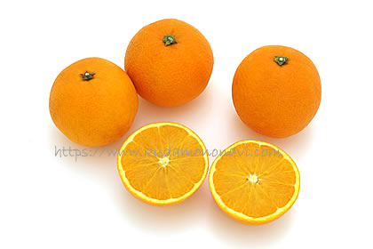 大三島ネーブル