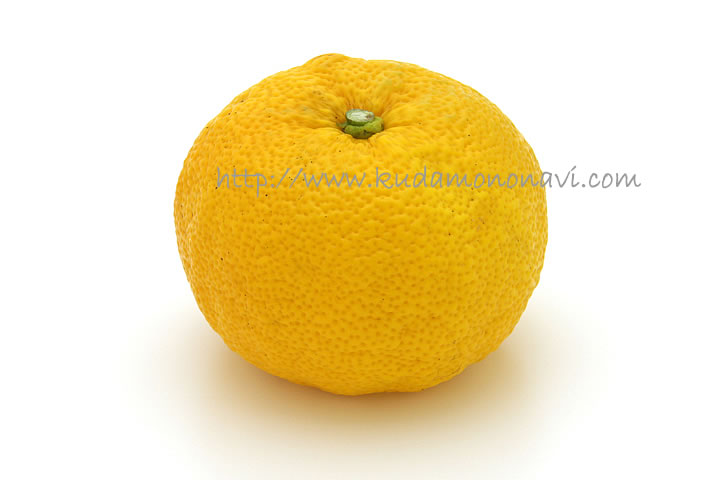 ゆず 柚子 柚 ユズ 香酸柑橘 品種の特徴 食べ方 選び方