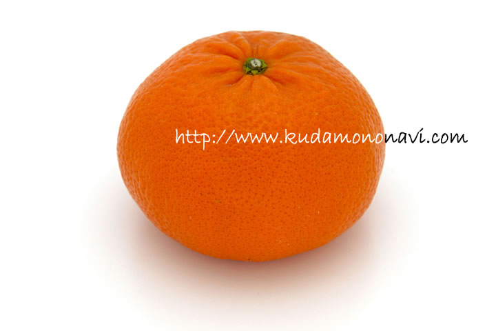 柑橘 は まさき 大将季（だいまさき）の通販は、 JA鹿児島いずみ通販ショップ