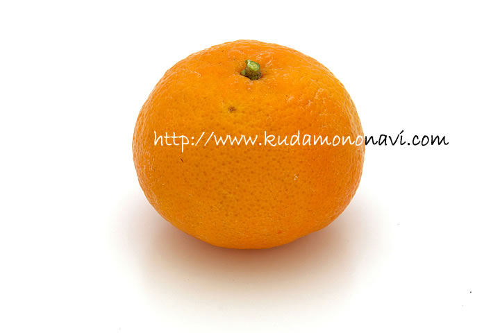 オア マンダリンの写真 画像 カンキツ その他柑橘類