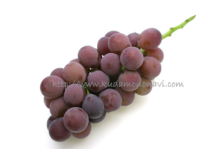 紅富士 べにふじの写真 画像 ぶどう 葡萄 ブドウ