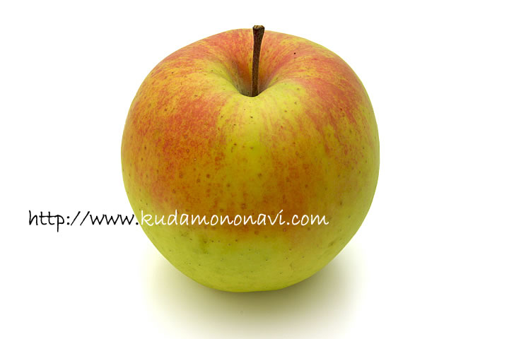 ぐんま名月 めいげつ 名月 ｜ りんご（林檎／リンゴ） 品種の特徴 食べ方 選び方