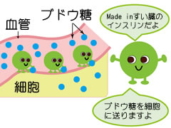 果物と健康 糖尿病