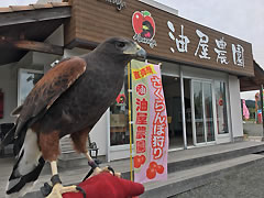 油屋農園