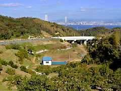 淡路島古川農園