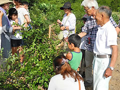 豊宏園　富士山ブルーベリーの里