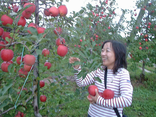 野田りんご園