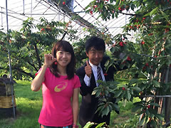 Sweet Cherry 渡邉観光櫻桃園