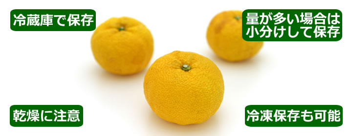 香酸柑橘の選び方