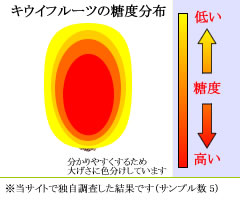 糖度分布