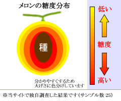 糖度分布
