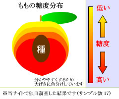 糖度分布