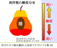 糖度分布