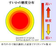 糖度分布