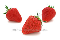 アスカルビー アスカルビー